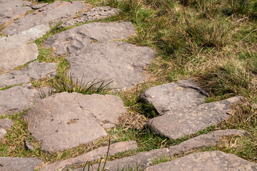 Sandstone slabs cut a pathway through the Welsh countryside. A variety of native plants can also be seen in the frame.