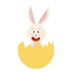 Bunny. Cute Rabbit into Broken Egg.