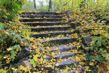 stone stairs in park