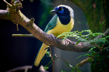 Vogelpark Walsrode