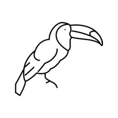 toucan exotic bird line icon vector illustration