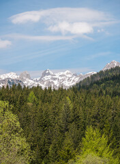 Summer in the mountains which are still covered with snow