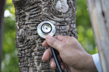 Checking health listening tree nature with stethoscope, biology, ecology, environment, global...