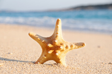 Dry sea star on sandy sunny beach on background of beautiful turquoise blue sea.Seaside,coast,...