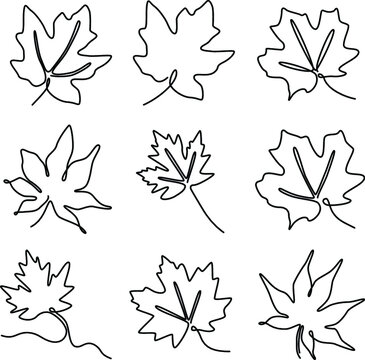 set of continuous one line illustration of maple autumn tree leaf