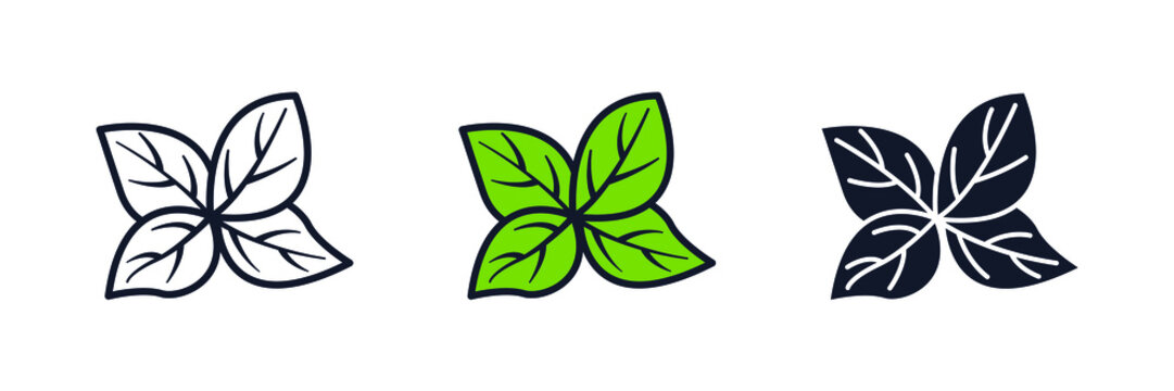 basil icon symbol template for graphic and web design collection logo vector illustration