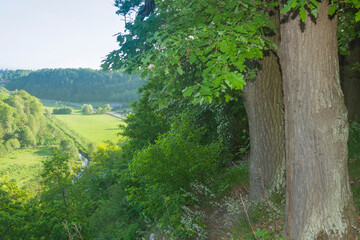 Fototapeta na wymiar Poland, Malopolska, Rudawa River Valley seen from Skaly Kmity Height