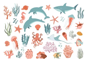 Crédence de cuisine en verre imprimé Vie marine Set with hand drawn sea animals and plants vector illustration.  Fish, jellyfish, dolphins, shark, shells, seaweed and corals.  Beautiful underwater world in cartoon style.  Diving center.