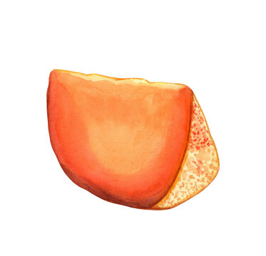 cheddar cheese isolated on white background watercolor illustration