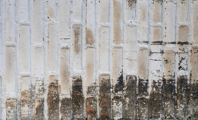 Old mildew covered white brick wall texture in Bali, Indonesia