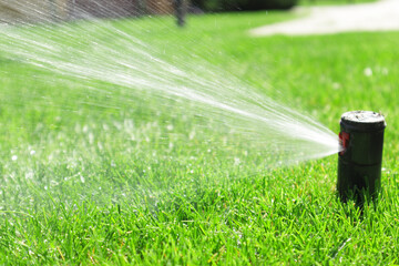 Garden irrigation system lawn. Automatic lawn sprinkler watering green grass. Selective focus.
