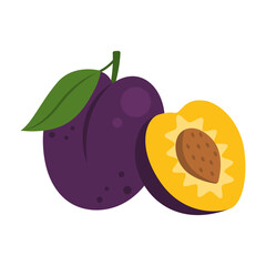 Purple plum (Prunus) whole fruit and half sliced icon isolated on white background. Vector illustration of stone fruit family in flat style.