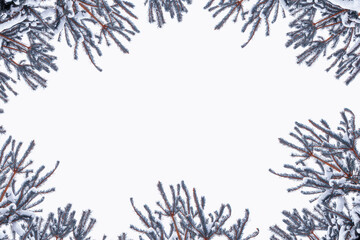 Christmas tree in the snow isolated on a white background. greeting card.
