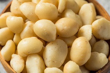 Raw Shelled Organic Macadamia Nuts