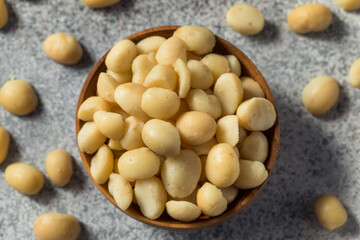 Fototapeta na wymiar Raw Shelled Organic Macadamia Nuts