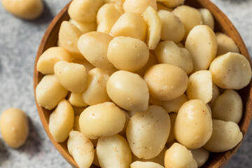 Raw Shelled Organic Macadamia Nuts