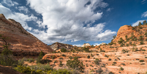 Zion National Park red sandstone rocks with blue sky and clouds, Utah, USA