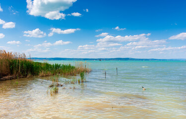 Beautiful summer lake landscape with turquoise water.