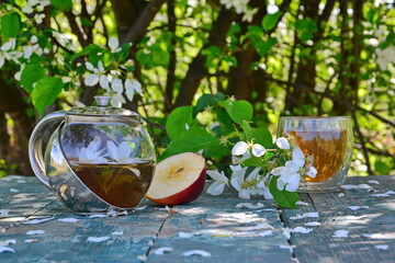 Drink morning tea in village garden. Green fruit tea with apple blossoms petal in teapot on wooden table on background of slice apple, glass mug of tea, flowering twig tree. Selective focus