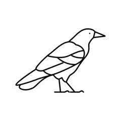 crow bird line icon vector illustration