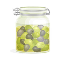 Canned Jar with Olives Cultivar with Small Green and Black Drupe Fruit in Marinade Vector Illustration