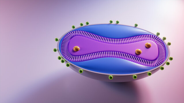 3D Illustration showing the Cell Structure of the Monkeypox Virus. 3D Render with Copy-Space.