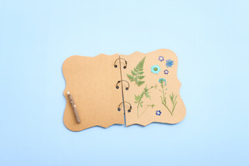 Herbarium concept with blue dry flowers over notebook background. Top view with copy space
