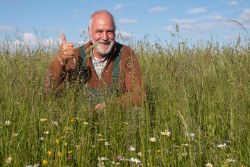 A friendly old farmer in his organically farmed meadow smiles at the camera and gives his thumbs...