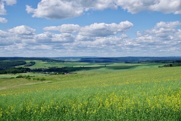 Fototapeta premium Landschaft Rheingau Taunus