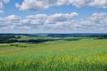 Landschaft Rheingau Taunus