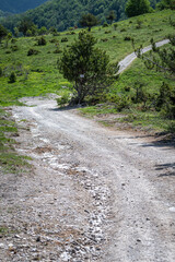 road in the mountains