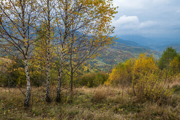 Cloudy and foggy day autumn mountains scene. Peaceful picturesque traveling, seasonal, nature and countryside beauty concept scene. Carpathian Mountains, Ukraine.