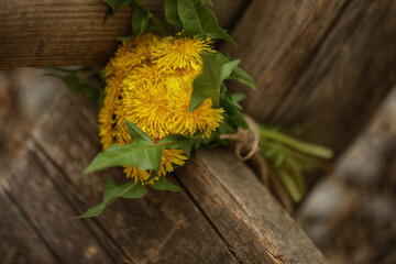 dandelions on wooden background