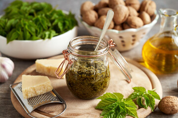 Pesto made of ground elder or Aegopodium podagraria - wild edible plant