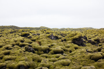 Tundra landscape in iceland