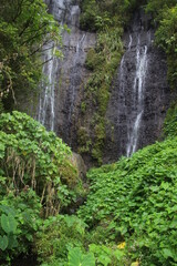 Fototapeta na wymiar Ile de la Réunion