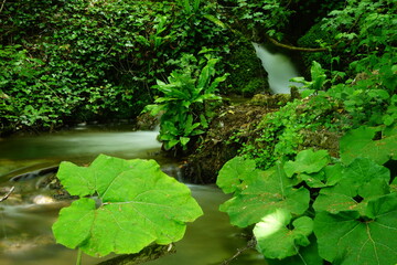 Water stream of Menotre river, Foligno, Perugia, Umbria, Italy