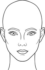 Female head front view ector illustration, bald woman head anatomy line art