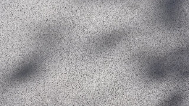 Abstract leaves gray shadow background with light bokeh, Abstract gray shadow background of natural leaves tree branch falling on white wall and wallpaper texture