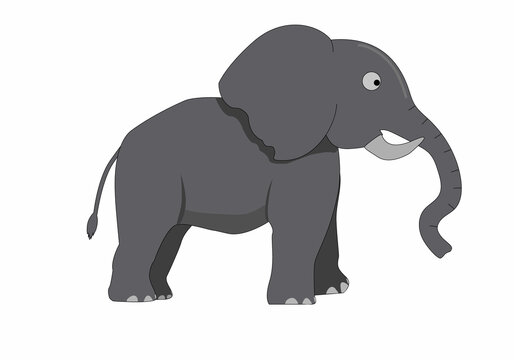 vector illustration of elephant for kids