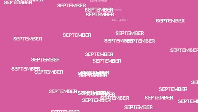 September Text Animation Falling on pink background.Rain of text cartoon animation