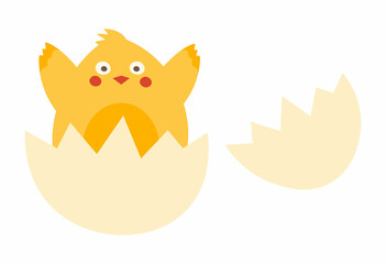 Cute Chicken in a Shell