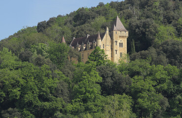 Fototapeta na wymiar Château de Rouffignac