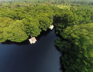 Aerial bird's eye view photo taken by drone of a lagoon in Honduras. Jutiapa Honduras. Laguna de Cacao