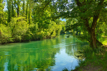 Canal de Savière in Savoie in Frankreich