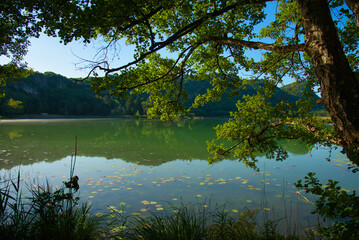 Fototapeta premium Lac de Barterand im Bugey in Frankreich