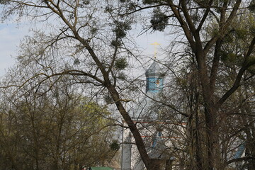The church behind the trees.