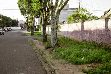 alley in the park