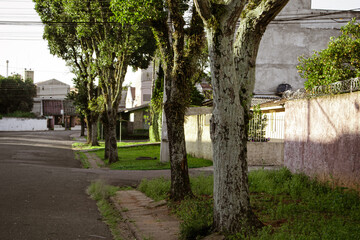 alley in the village