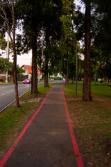 walk path in the park
